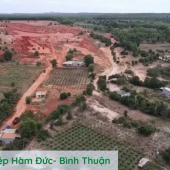 Đất nông nghiệp Bình Thuận, chính chủ, giá gốc, cơ hội tốt cho các nhà đầu tư